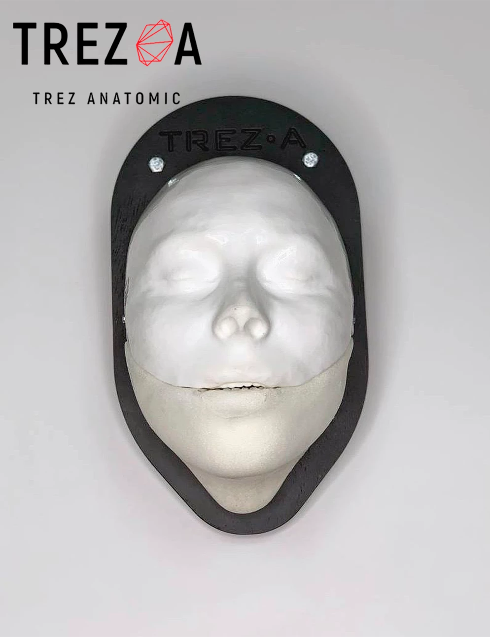 Анатомический тренажер челюстной-лицевой хирургии