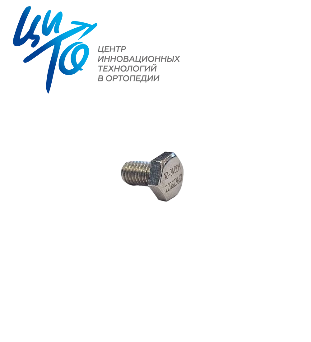 Болт М6 для аппарата Илизарова, длина 10 мм, нержавеющая сталь
