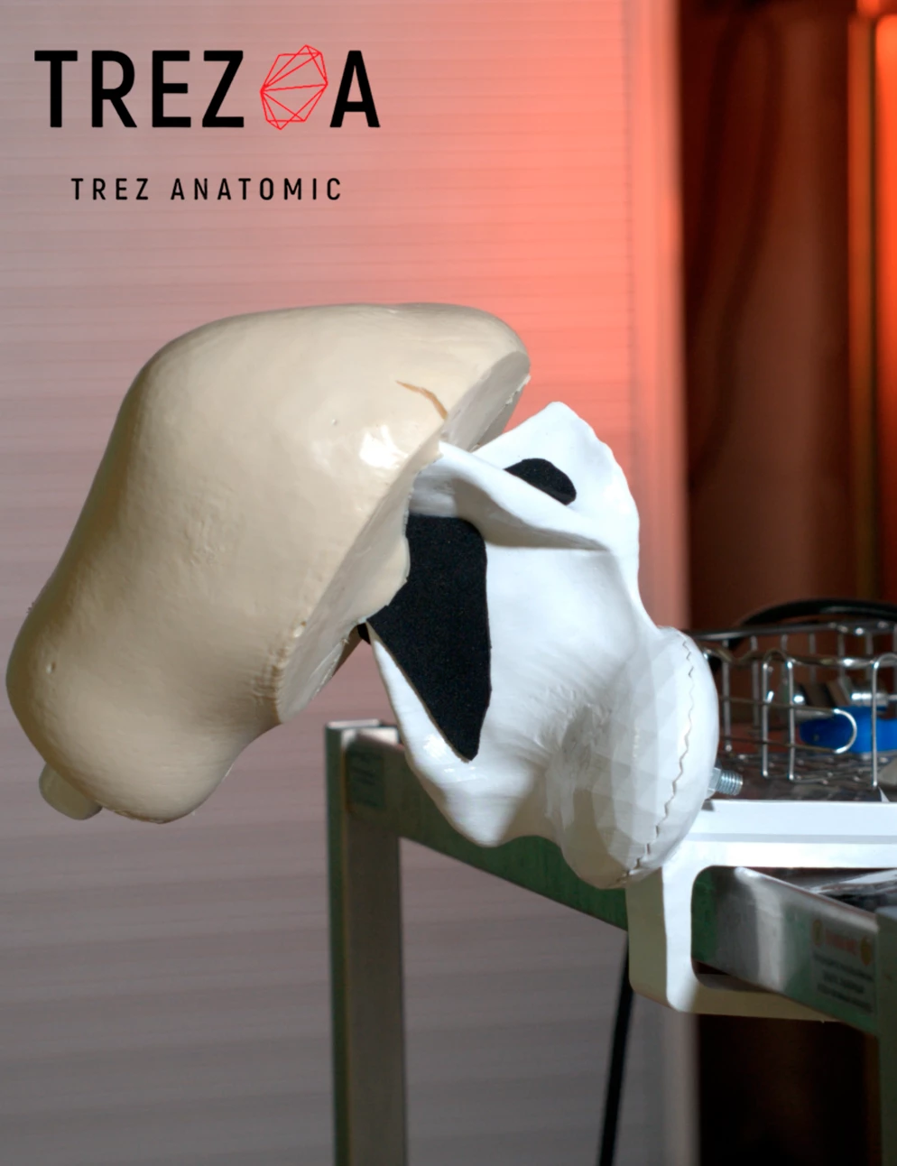 Анатомическая модель "Плечо в капсуле"