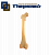 Анатомическая модель "Бедренная кость"